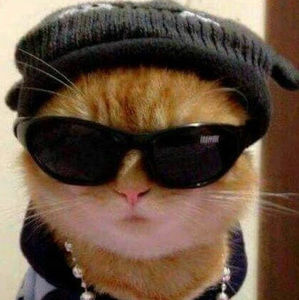 Meet your Posher, August